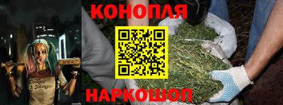герыч Кингисепп