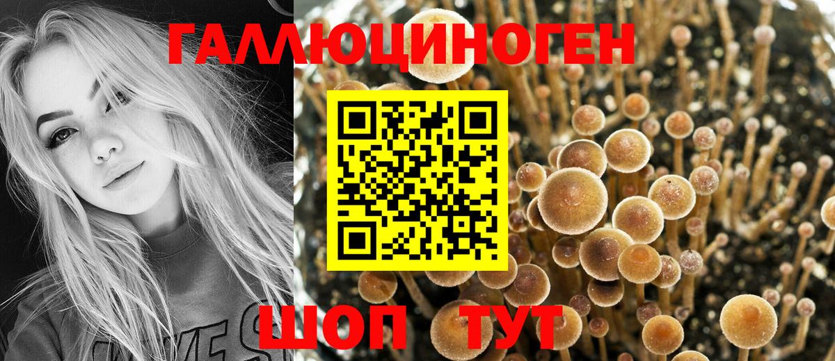 Галлюциногенные грибы Cubensis  Вход с VPN  наркота  Изобильный 
